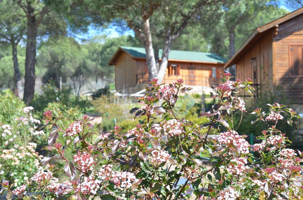 Apartamentos Paraje San Gines Andujar Luaran gambar