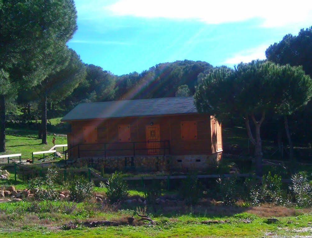 Apartamentos Paraje San Gines Andujar Luaran gambar