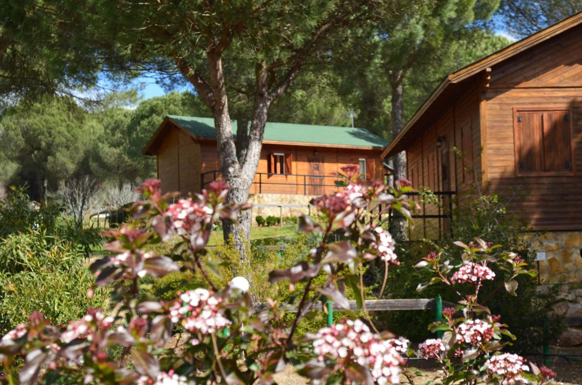 Apartamentos Paraje San Gines Andujar Luaran gambar